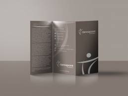 hellodesign-dancepoint-trifold-brochure